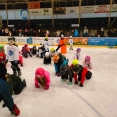 Louny žijí hokejem, Český hokej s programem Týden hokeje u nás vede!